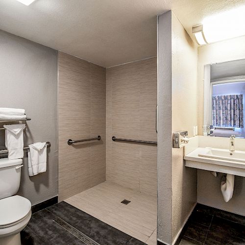 This is a clean, modern bathroom with a toilet, towel rack, walk-in shower, and a sink with a large mirror. The design is minimalist.