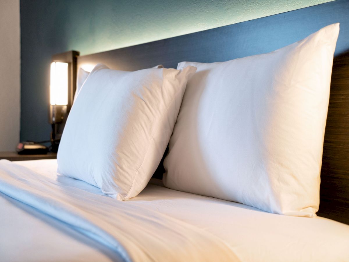 The image shows a neatly made bed with two white pillows and a lamp on a nightstand beside it.